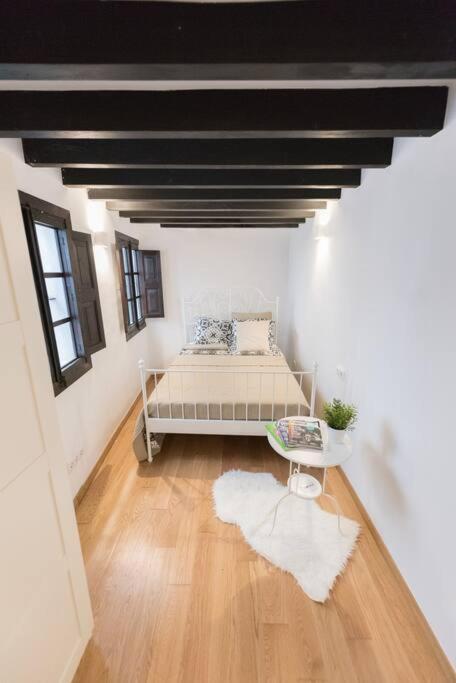 Appartement Loft En El Corazon De Palma Cerca De La Catedral Extérieur photo